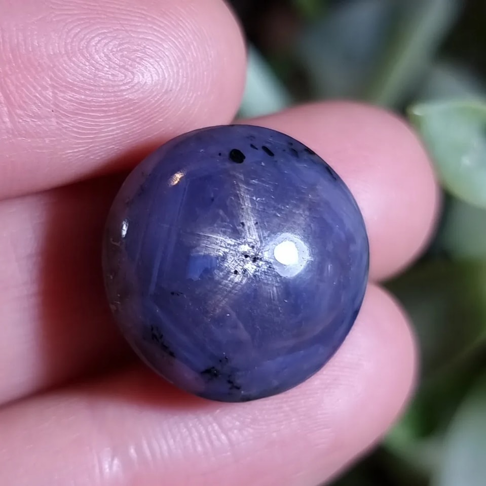 Raíz de Rubí - 18,3x18,4 mm