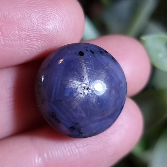 Raíz de Rubí - 18,3x18,4 mm