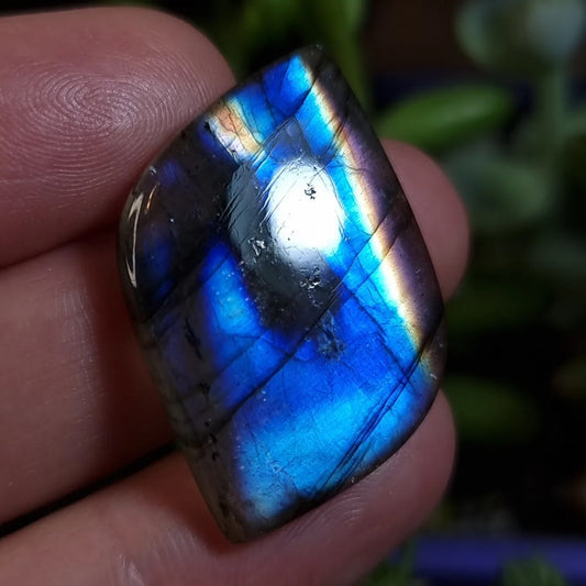 Labradorita Azul Celeste - 32,8x22,7 mm