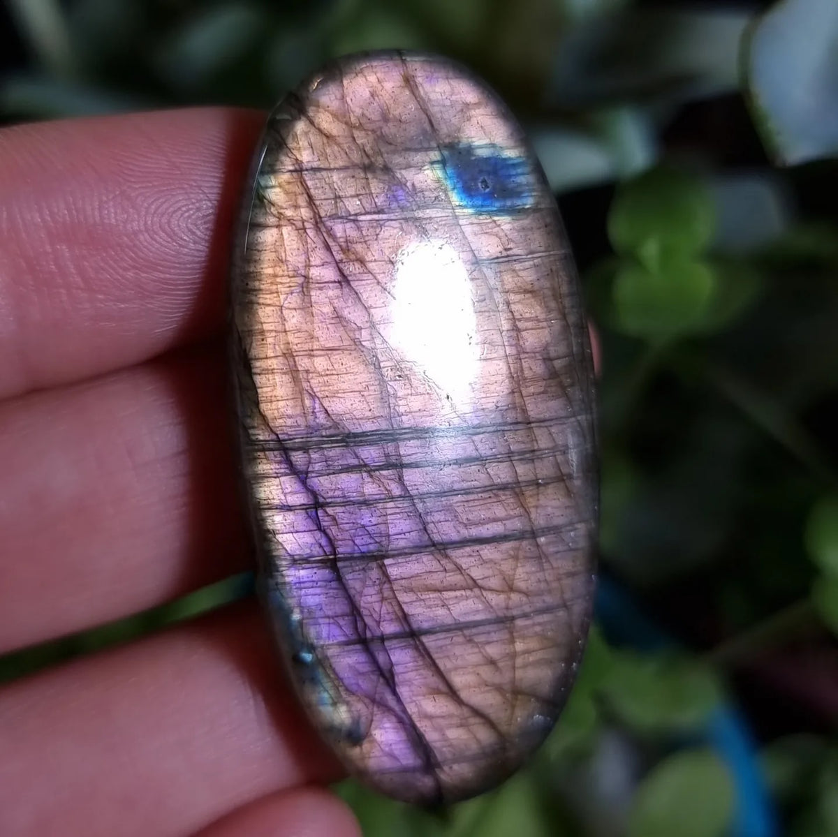 Labradorita Naranja Morada XL Alta Calidad - 48,5x24,0 mm