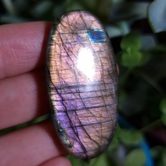 Labradorita Naranja Morada XL Alta Calidad - 48,5x24,0 mm