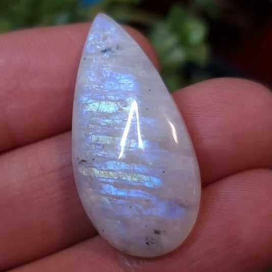 Labradorita Blanca/Piedra Luna Arcoíris - 33,2x15,8 mm