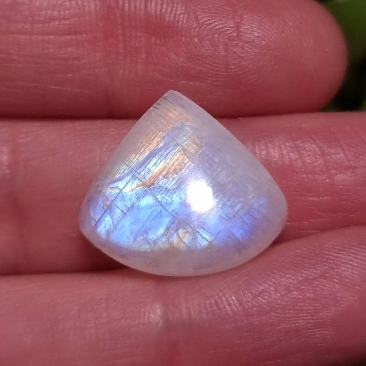 Labradorita Blanca/Piedra Luna Arcoíris Alta Calidad - 18,2x19,5 mm
