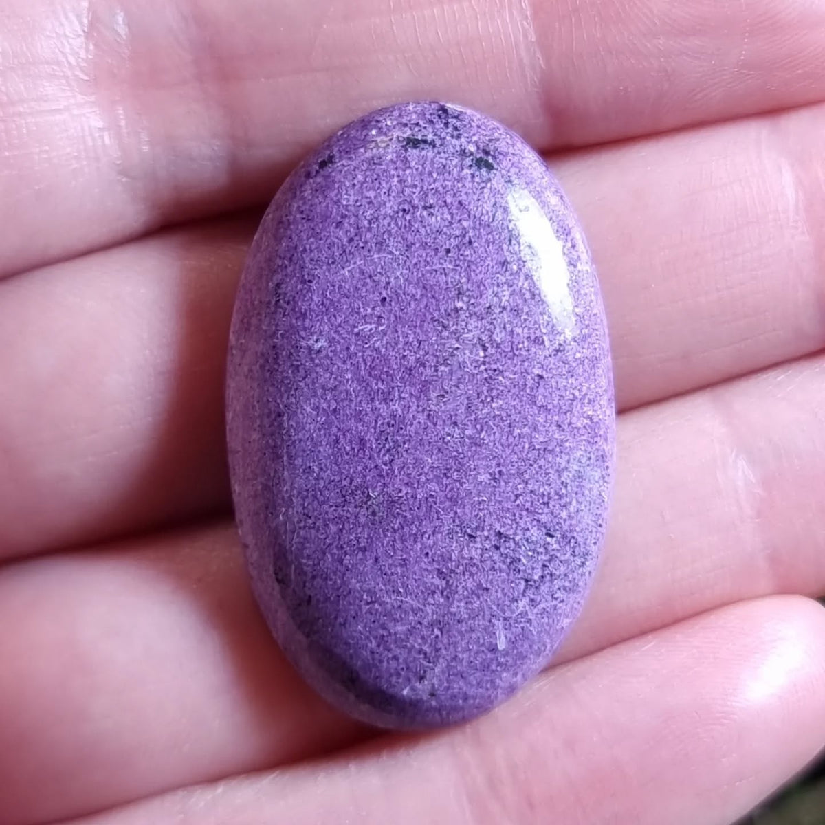 Stichtita - 36,3x22,5 mm