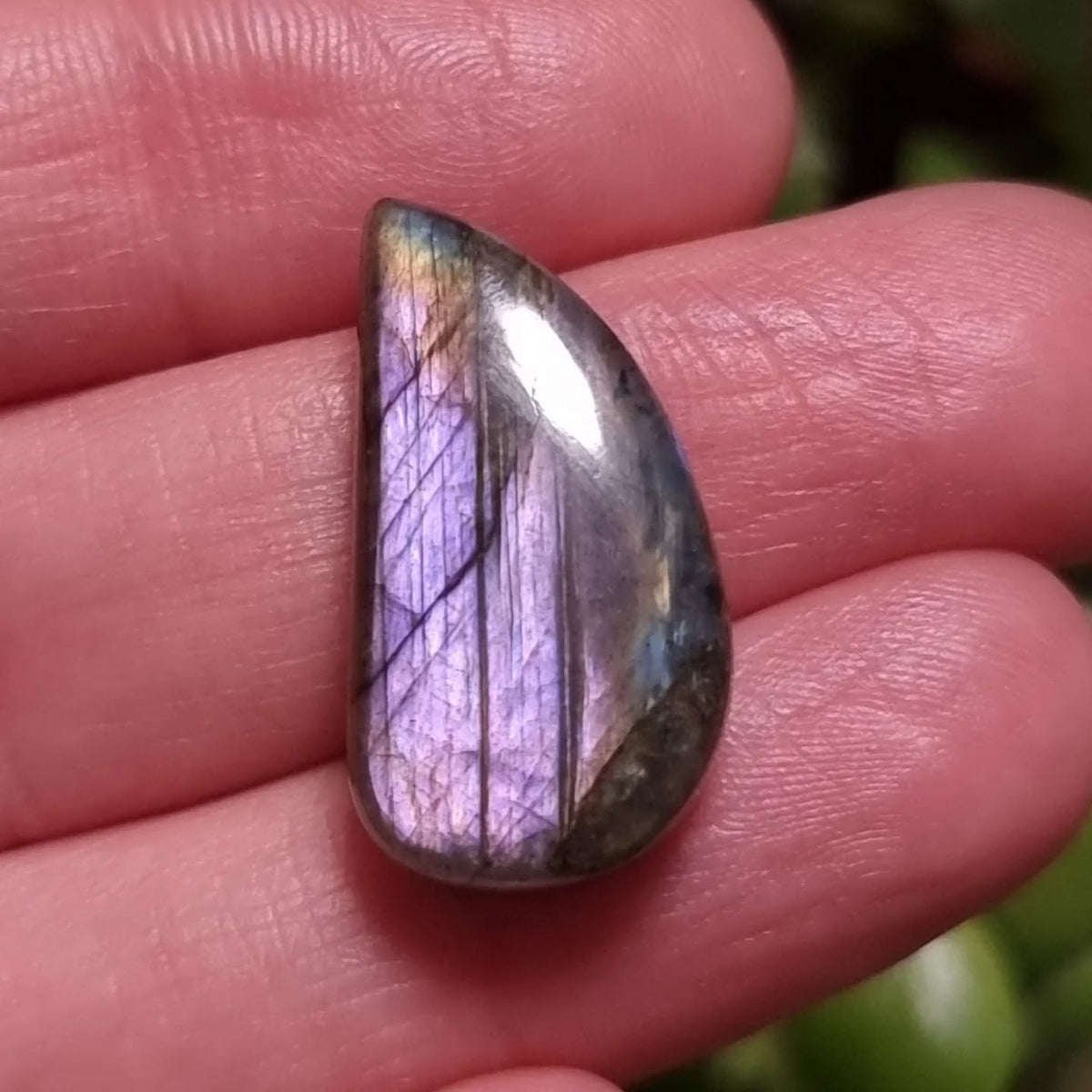 Labradorita Morada - 24,3x13,0 mm