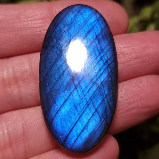 Labradorita Azul Alta Calidad - 43,8x22,6 mm
