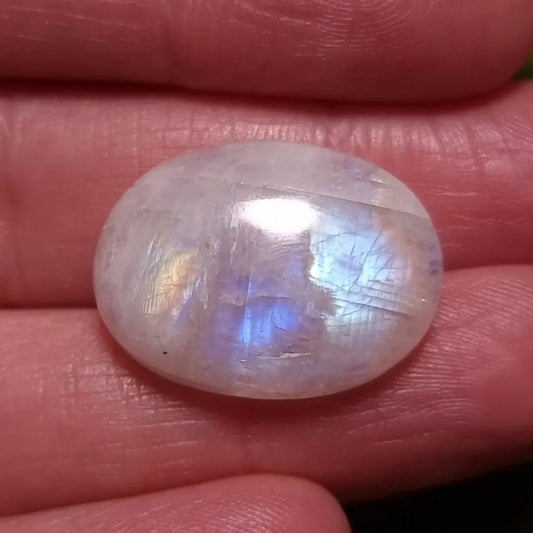Labradorita Blanca/Piedra Luna Arcoíris Alta Calidad - 21,9x16,0 mm