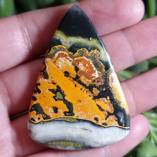 Jaspe Abejorro/Bumble Bee 3XL Alta Calidad - 56,4x40,2 mm