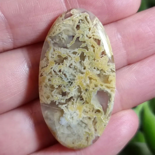 Ágata Musgo Dorada - 42,8x23,1 mm