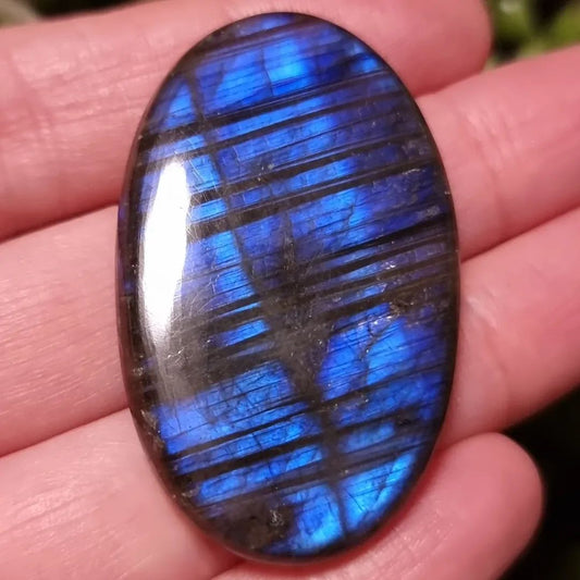 Labradorita Azul XL - 46,8x28,3 mm