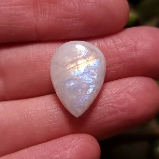 Labradorita Blanca/Piedra Luna Arcoíris Alta Calidad - 19,3x14,0 mm 