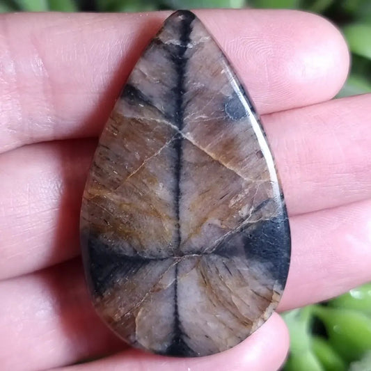 Quiastolita/Piedra Cruz XL - 48,5x29,8 mm