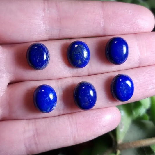Lote de 6 Lapislázuli - 12x10 mm aprox.
